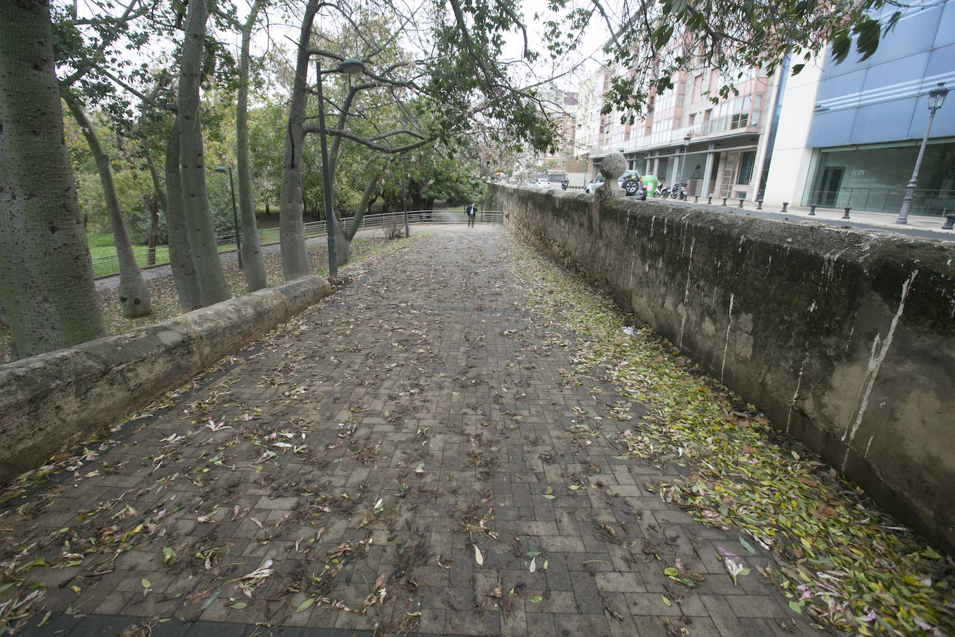 Fotos: Daños tras las lluvias en el cauce del río Turia