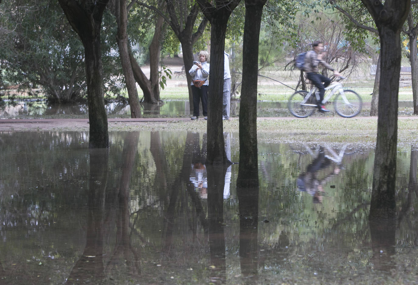 Fotos: Daños tras las lluvias en el cauce del río Turia