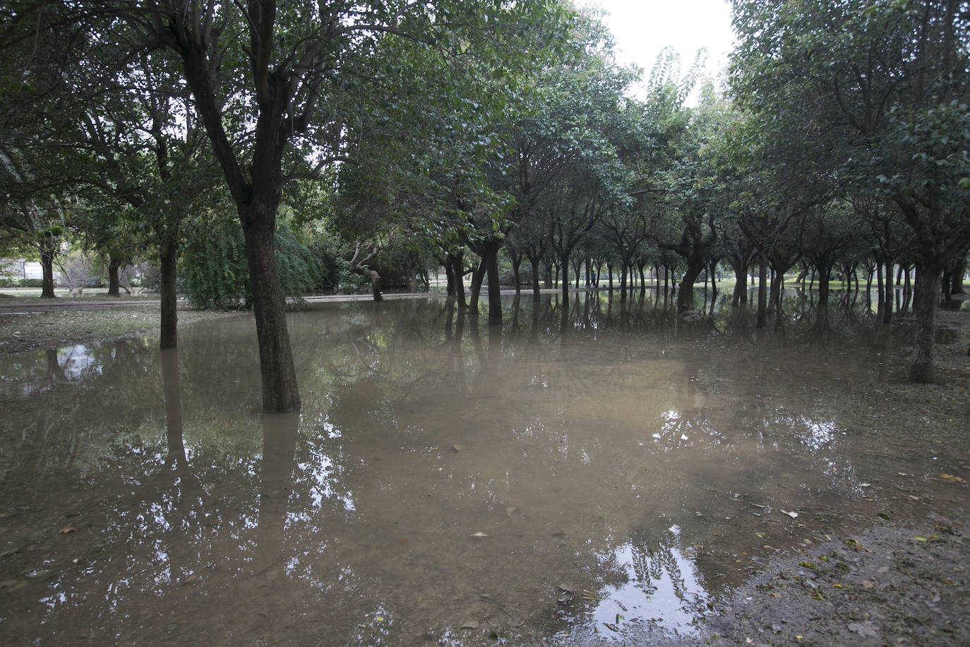 Fotos: Daños tras las lluvias en el cauce del río Turia