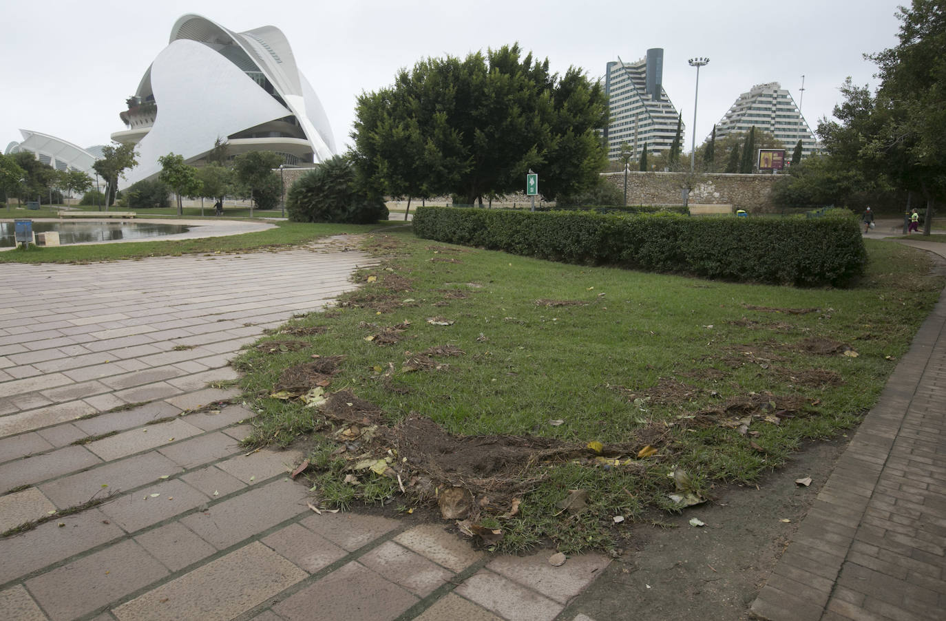 Fotos: Daños tras las lluvias en el cauce del río Turia