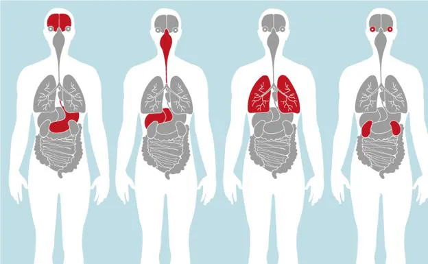 Síntomas del coronavirus: cómo saber si tengo la covid-19