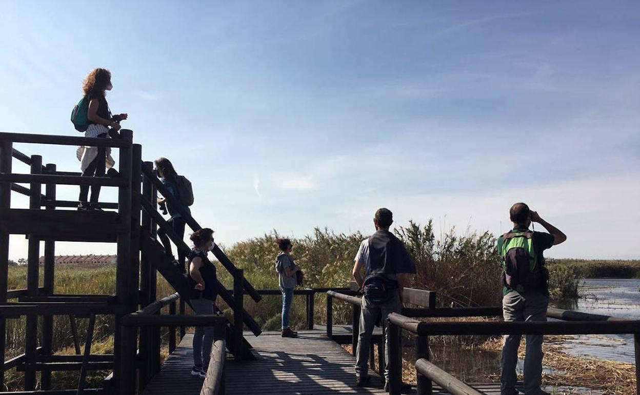 La visita a la Marjal del Moros. 