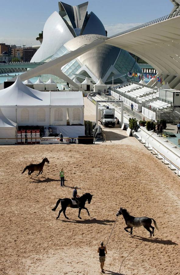 Varios caballos se ejercitan en la pista anexa al Museo Príncipe Felipe de la Ciudad de las Artes y las Ciencias con motivo de la segunda prueba del Global Champions Tour en 2009.