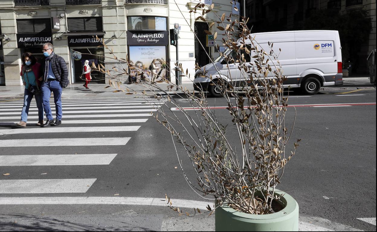 Uno de los maceteros de la plaza del Ayuntamiento, ayer. 