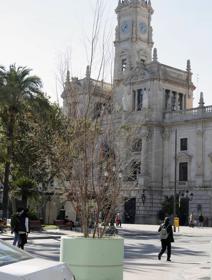 Imagen secundaria 2 - Los maceteros verdes de la plaza del Ayuntamiento se marchitan