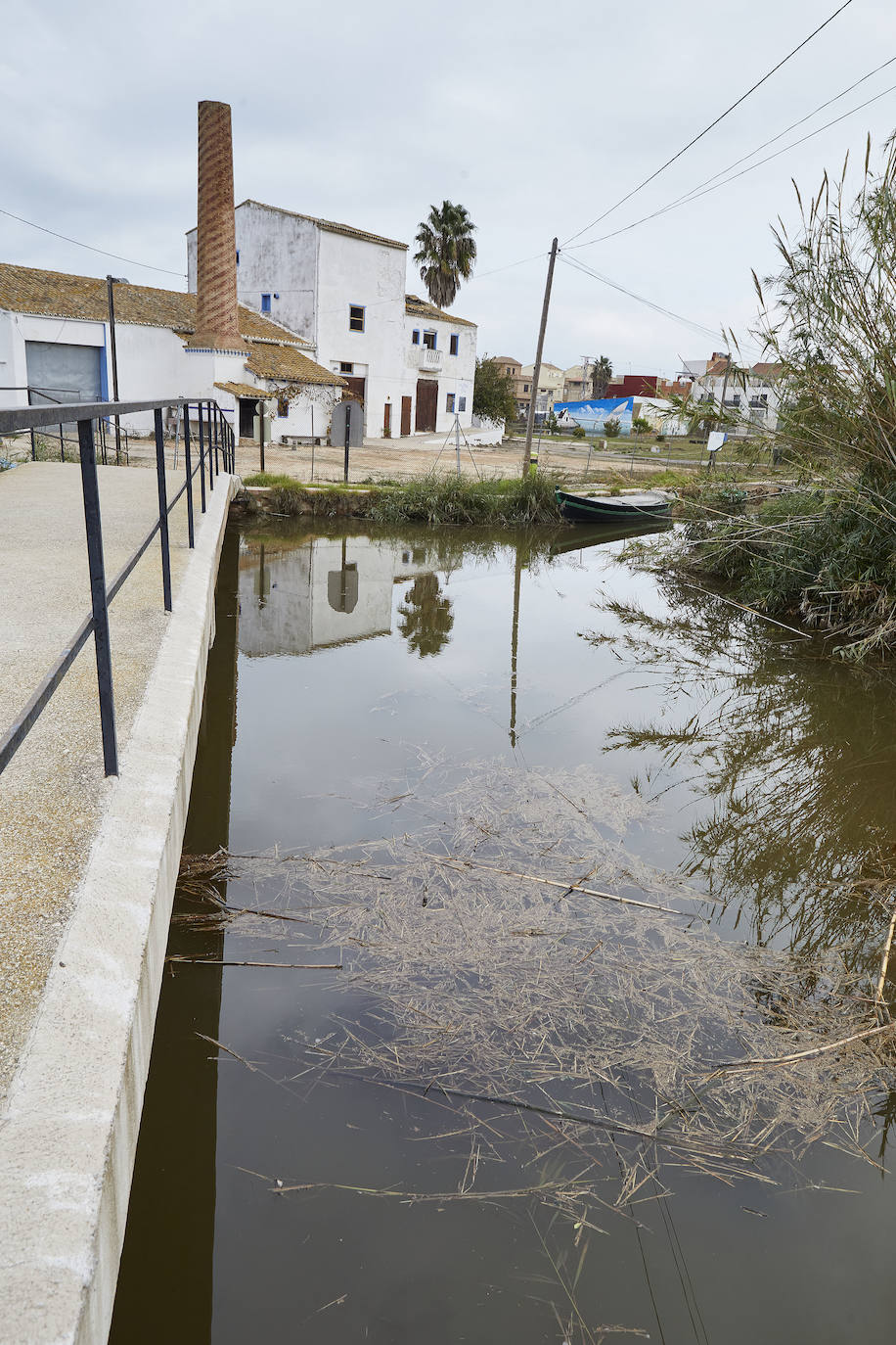 La Comunidad de El Palmar exige la retirada de residuos en el lago y alerta de mortandad en varios puestos de peces por la falta de oxígeno