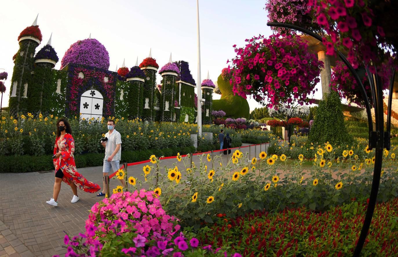 Flores gigantes y arreglos de plantas, algunos con personajes populares de Disney como Mickey Mouse y el pato Donald, dan la bienvenida a los visitantes al Dubai Miracle Garden, el jardín de flores más grande del mundo.