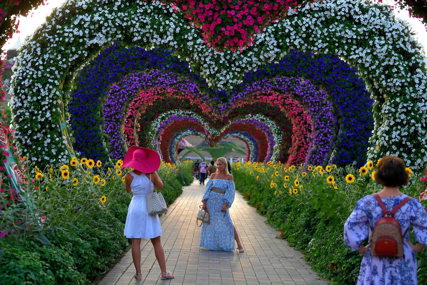 Flores gigantes y arreglos de plantas, algunos con personajes populares de Disney como Mickey Mouse y el pato Donald, dan la bienvenida a los visitantes al Dubai Miracle Garden, el jardín de flores más grande del mundo.