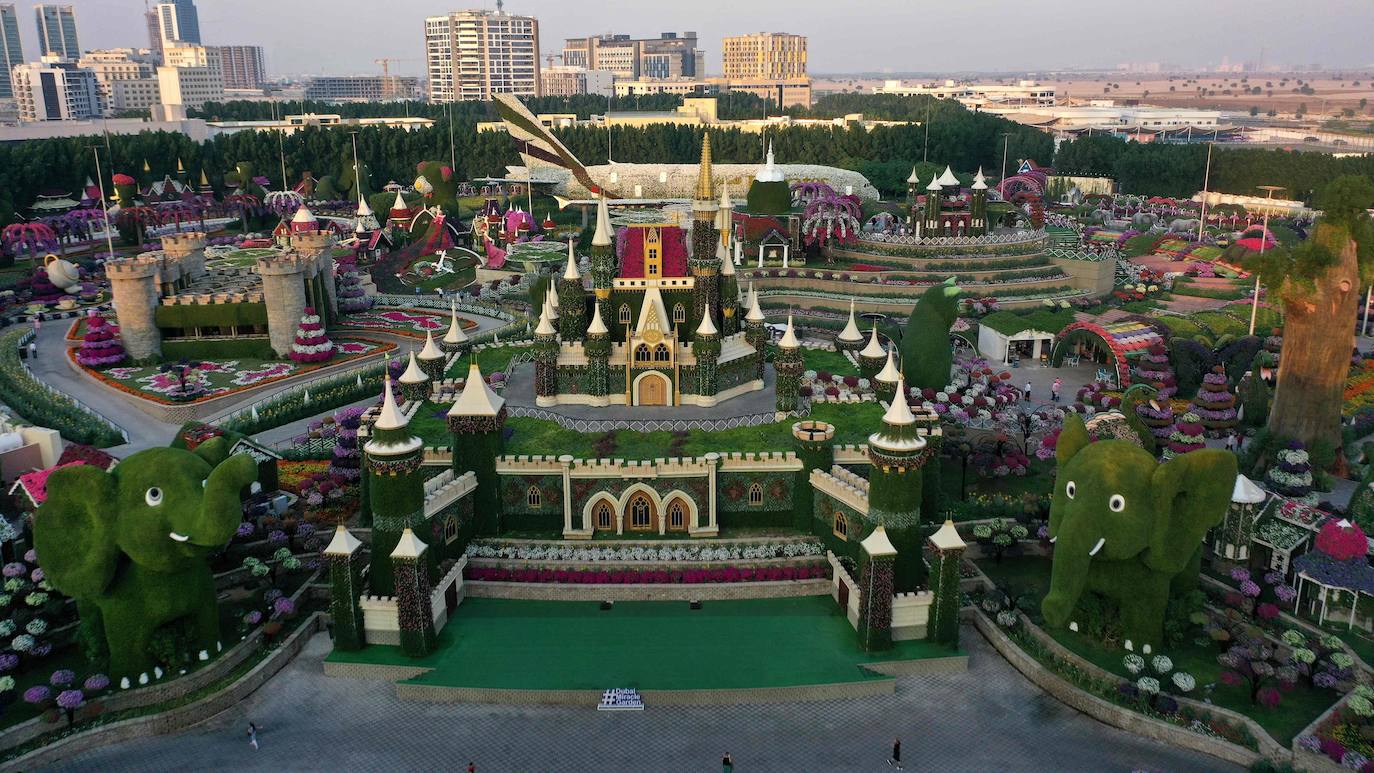 Flores gigantes y arreglos de plantas, algunos con personajes populares de Disney como Mickey Mouse y el pato Donald, dan la bienvenida a los visitantes al Dubai Miracle Garden, el jardín de flores más grande del mundo.