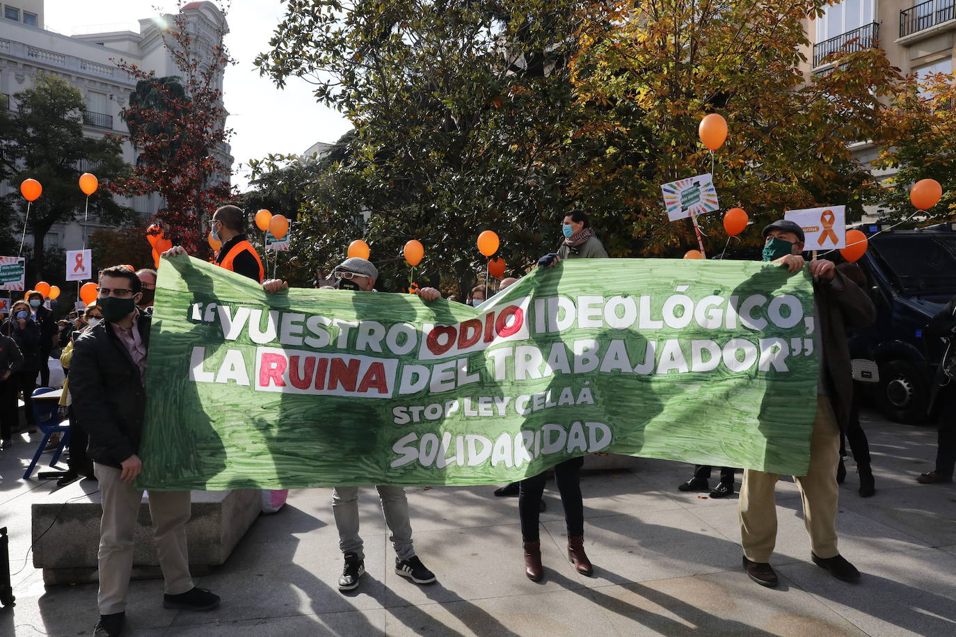 Miembros de la Plataforma Más Plurales se manifiesta en contra de la nueva ley de educación, la llamada ley Celaá, en frente del Congreso este viernes. Los manifestantes consideran que la nueva ley ataca la libertad de las familias la hora de elegir centro.