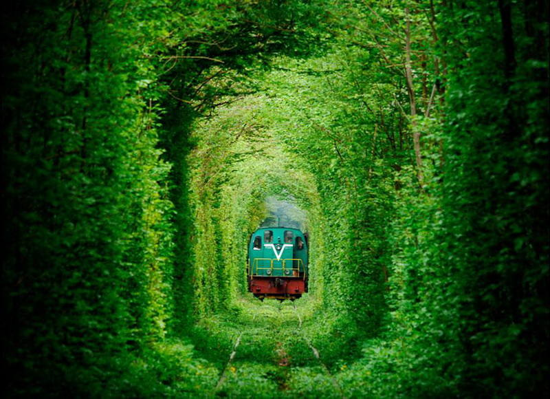 8.- Túnel del Amor (Ucrania) | Muy cerca de un pueblo llamado Klevan, se encuentra una vía ferroviaria de una fábrica de madera que parece sacada de un cuento. El túnel se ha moldeado a partir de las plantas que crecen a los lados.