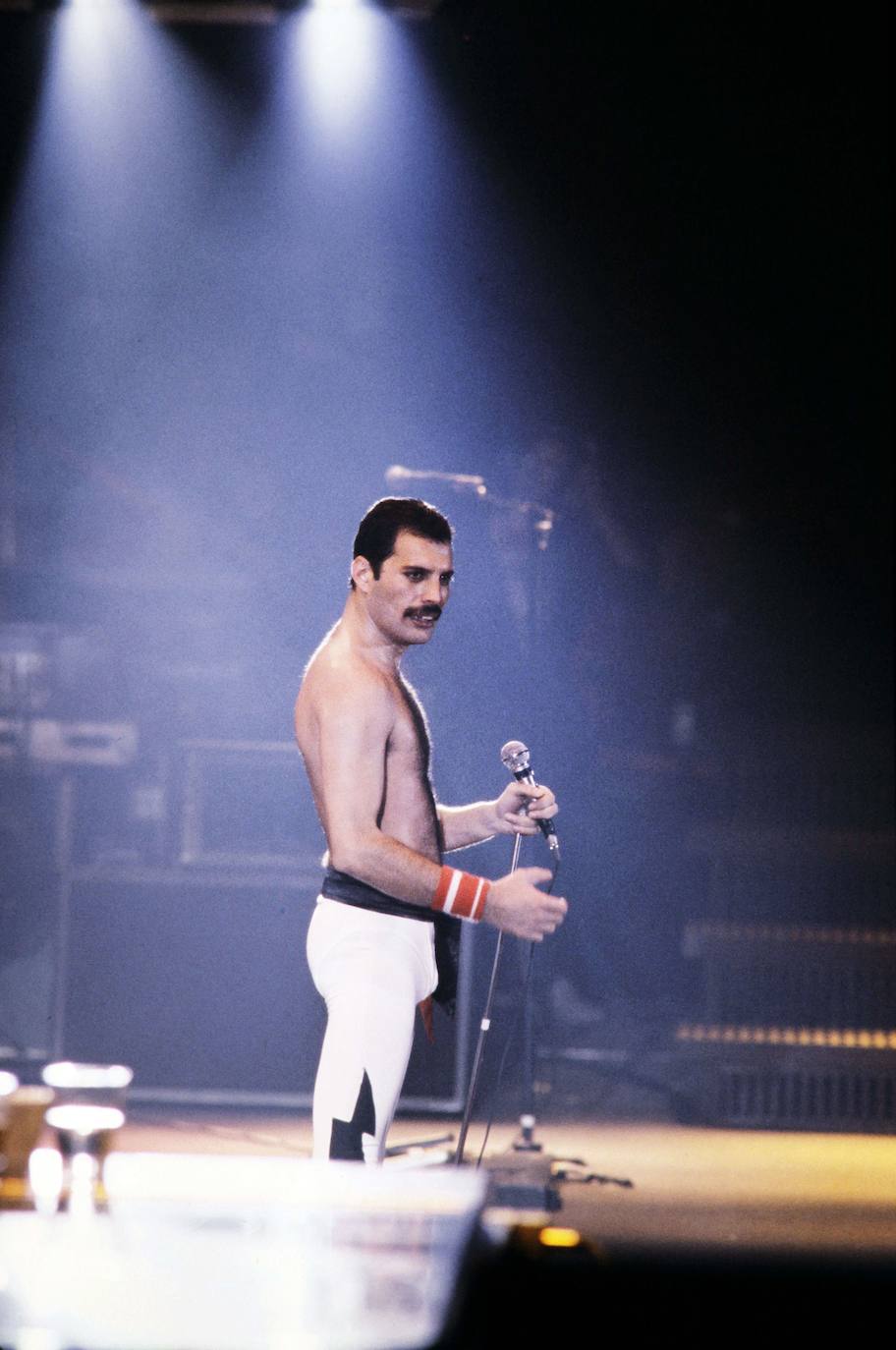 11.- Freddie Mercury – 9 millones de dólares | Líder y vocalista de Queen. Murió el 24 de noviembre de 1991, a los 45 años. Motivo: Sida.