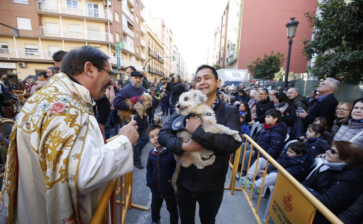 Bendición de animales de la fiesta de San Antonio en Valencia. 