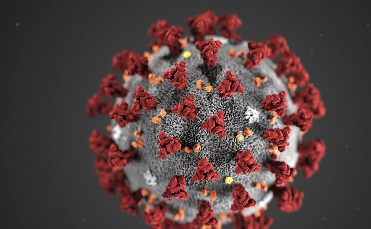 Ilustración del virus del Nuevo Coronavirus (2019-nCoV), visto a través del microscopio electrónico.