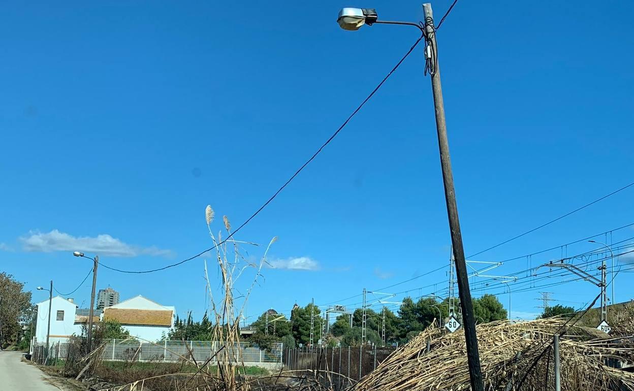 Cañares afectados por un fuego en la pedanía de la Punta. 