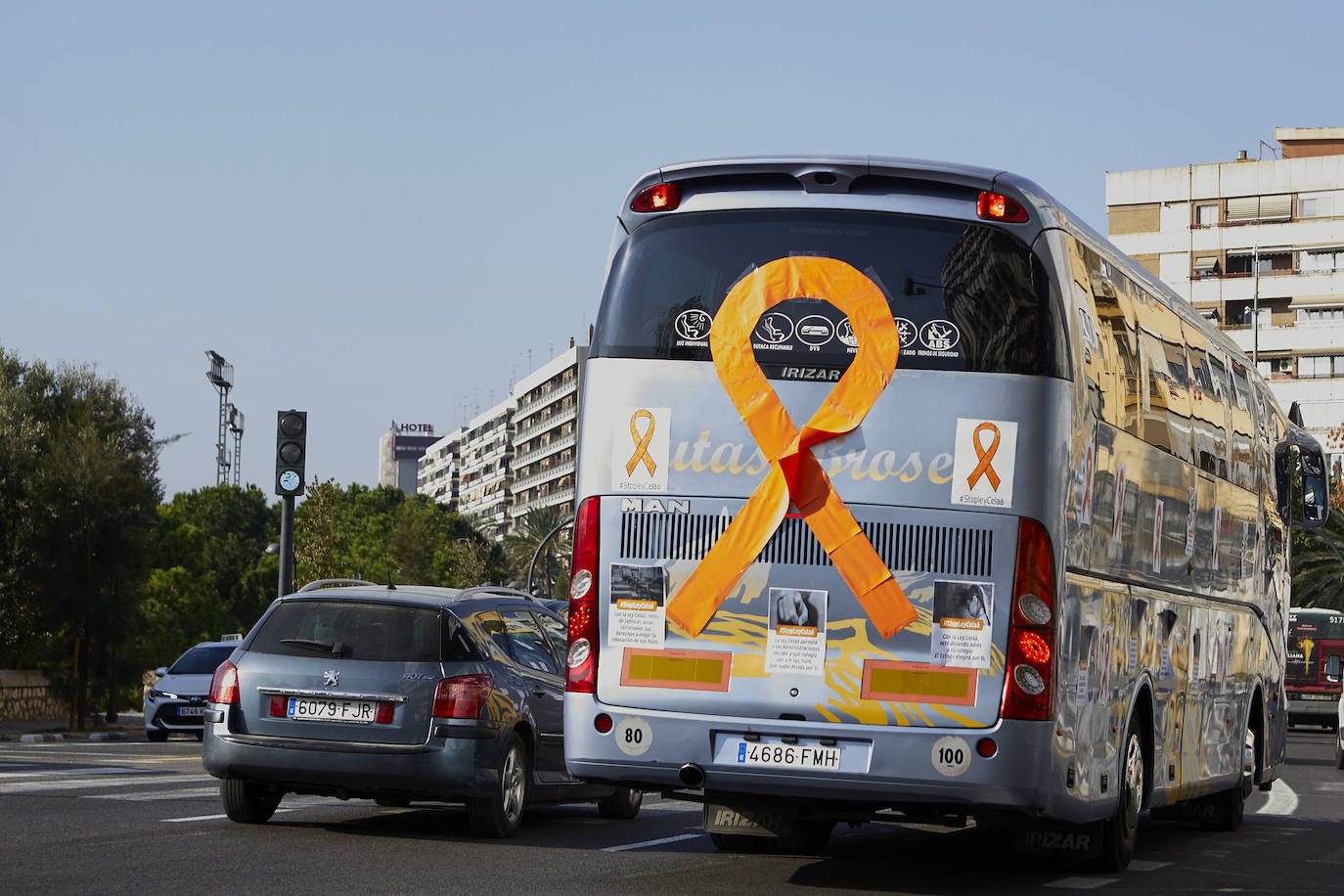 Decenas de autobuses decorados con lazos naranjas y pancartas reivindicativas han empezado a recorrer desde las diez de la mañana las tres capitales de provincia dentro de la nueva protesta contra la ley Celaá impulsada por la Mesa por la Educación en Libertad, entidad que agrupa a los principales representantes de la enseñanza concertada valenciana (patronales de centros, asociaciones de padres y sindicatos docentes). En imagen, las protestas en Valencia.