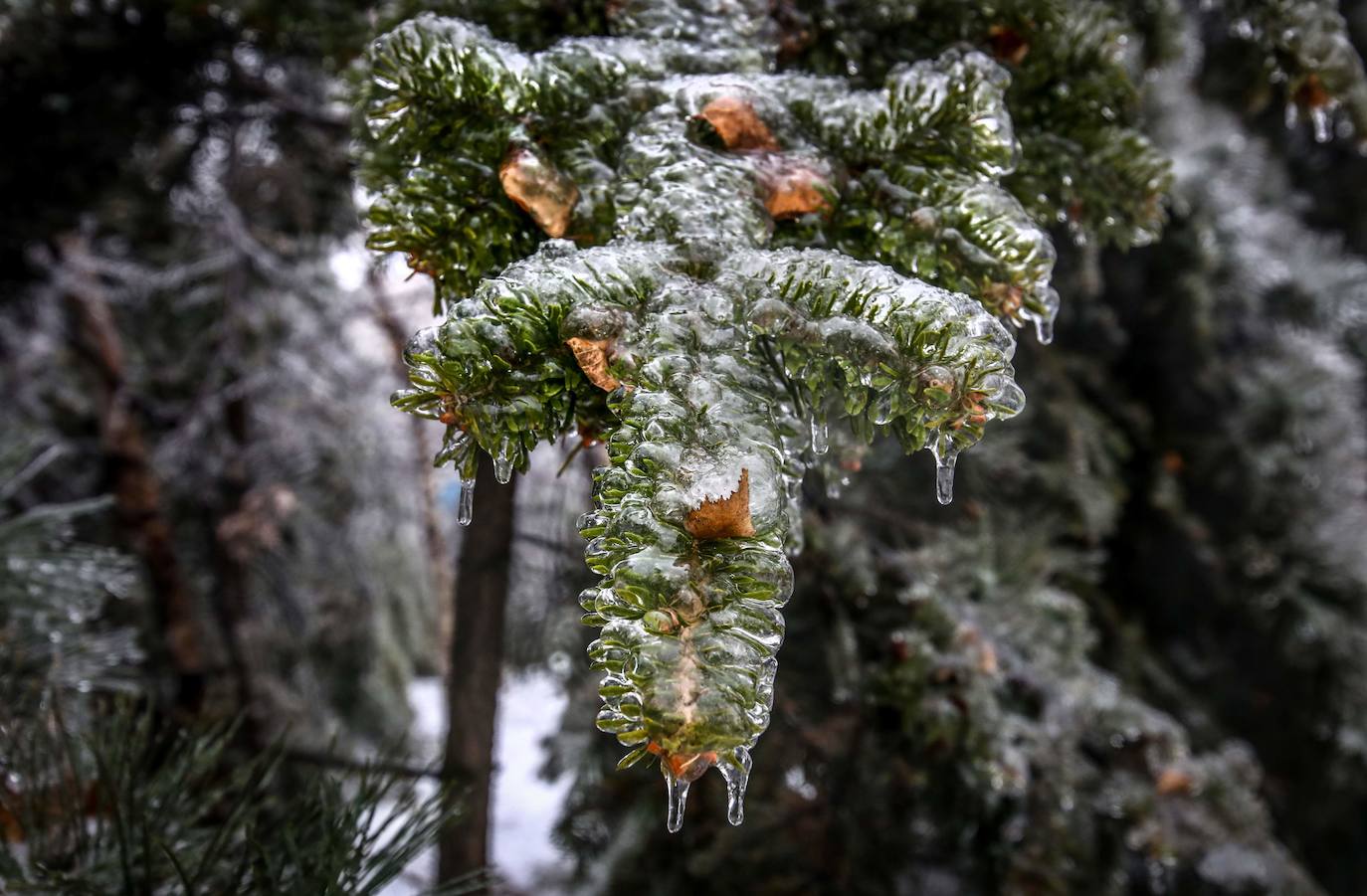 ¿Saben lo que es la lluvia helada o engelante? Se trata de un fenómeno atmosférico por el cual el agua de la lluvia se convierte en hielo cuando impacta con cualquier superficie, por ello la ciudad rusa de Vladivostok ha amanecido este domingo completamente congelada. 