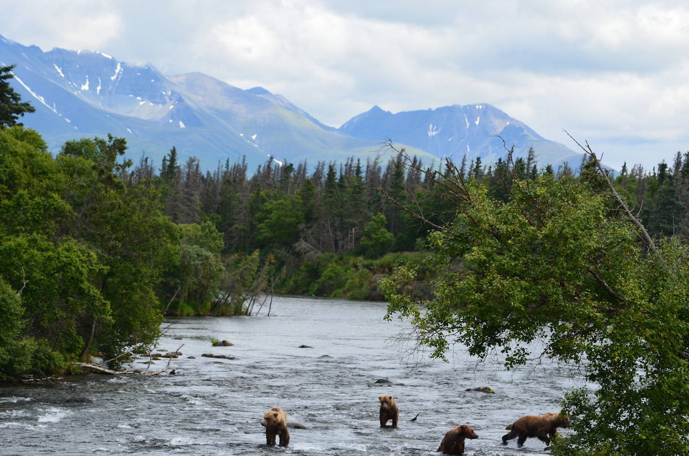 1. Parque Nacional Katmai (Alaska)