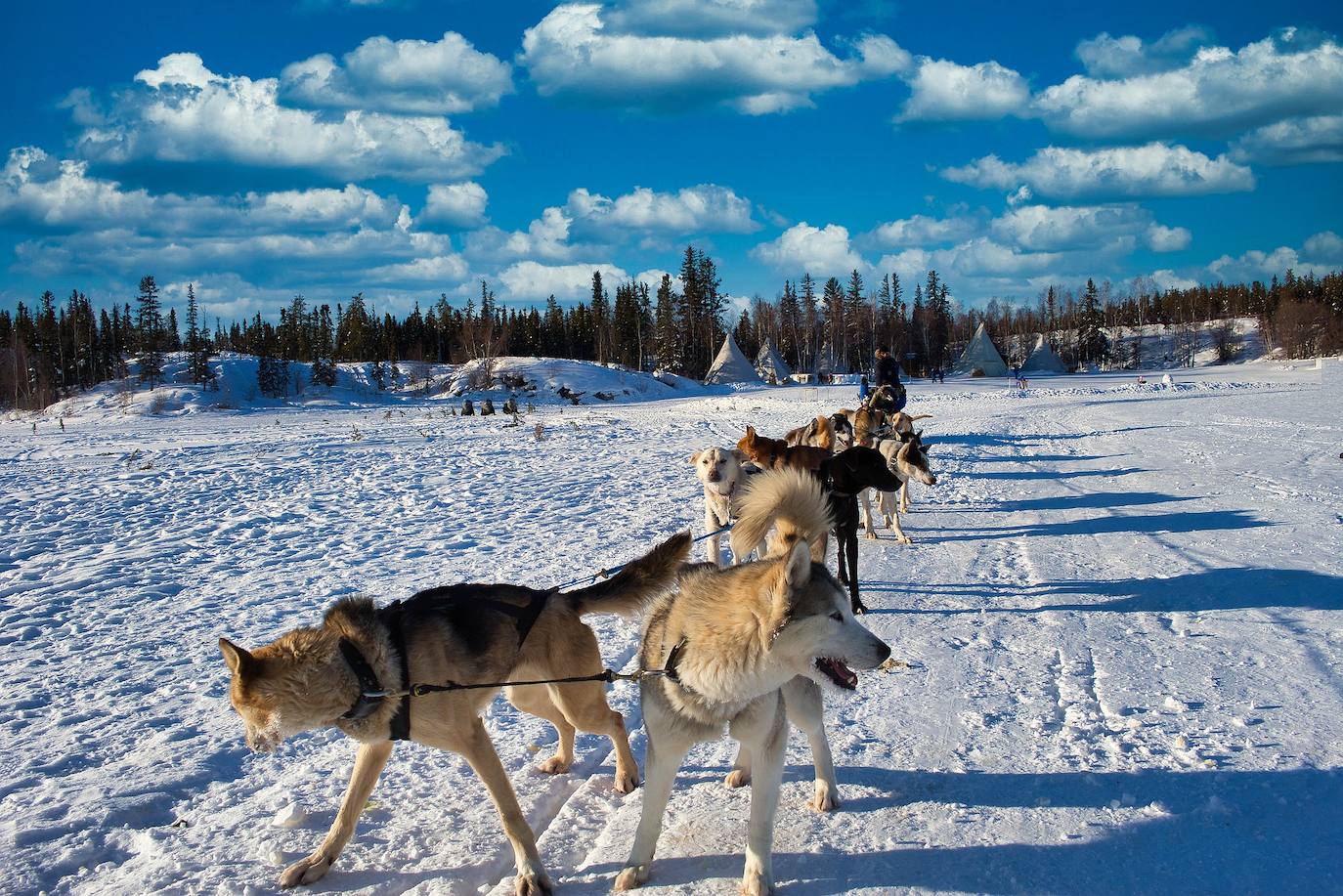 14. Yellowknife (Canadá)