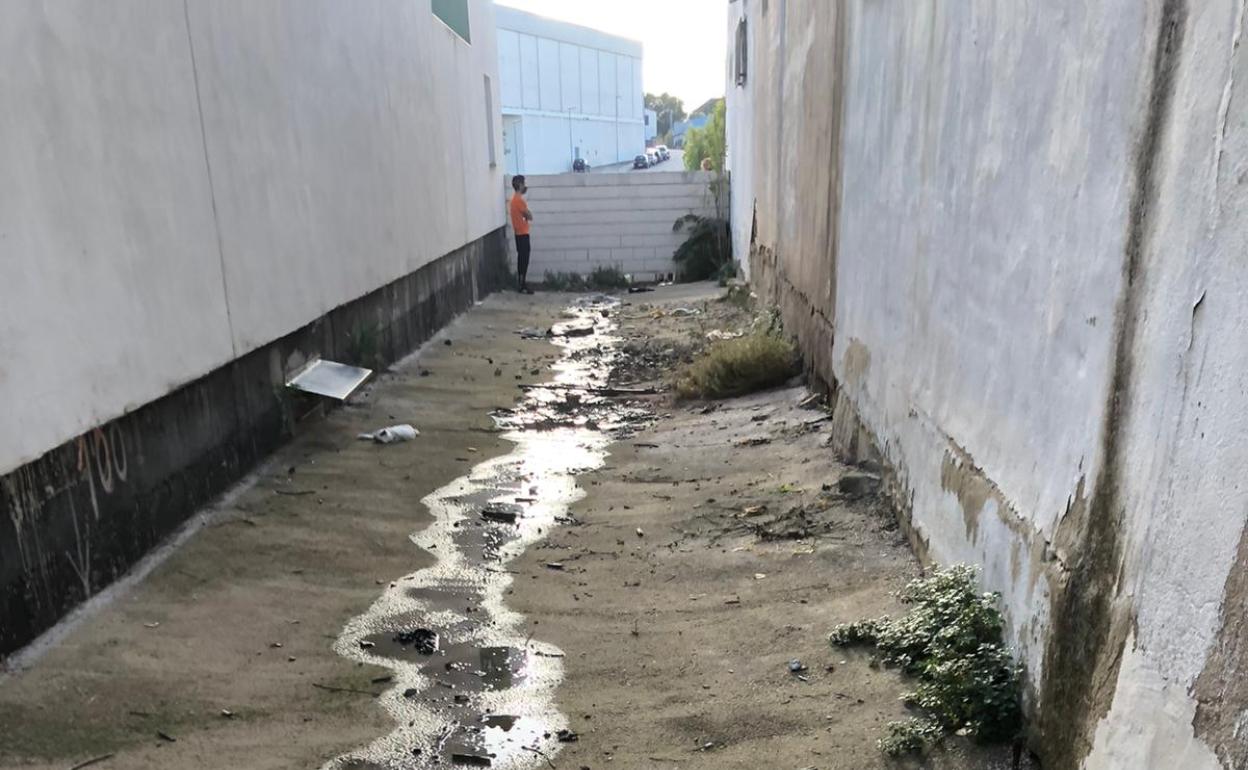 Callejón donde aparecieron los gatos muertos. 