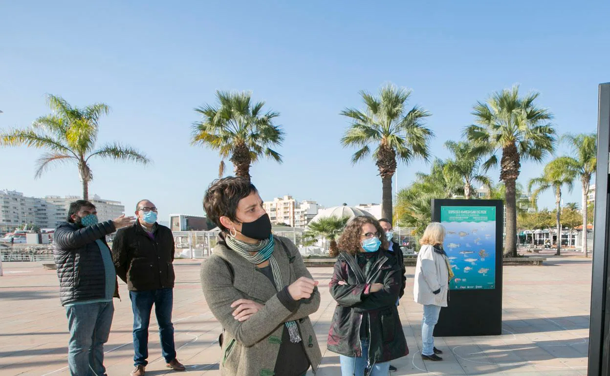 Muestra sobre la pesca y el puerto, en el Moll dels Borja de Gandia. 