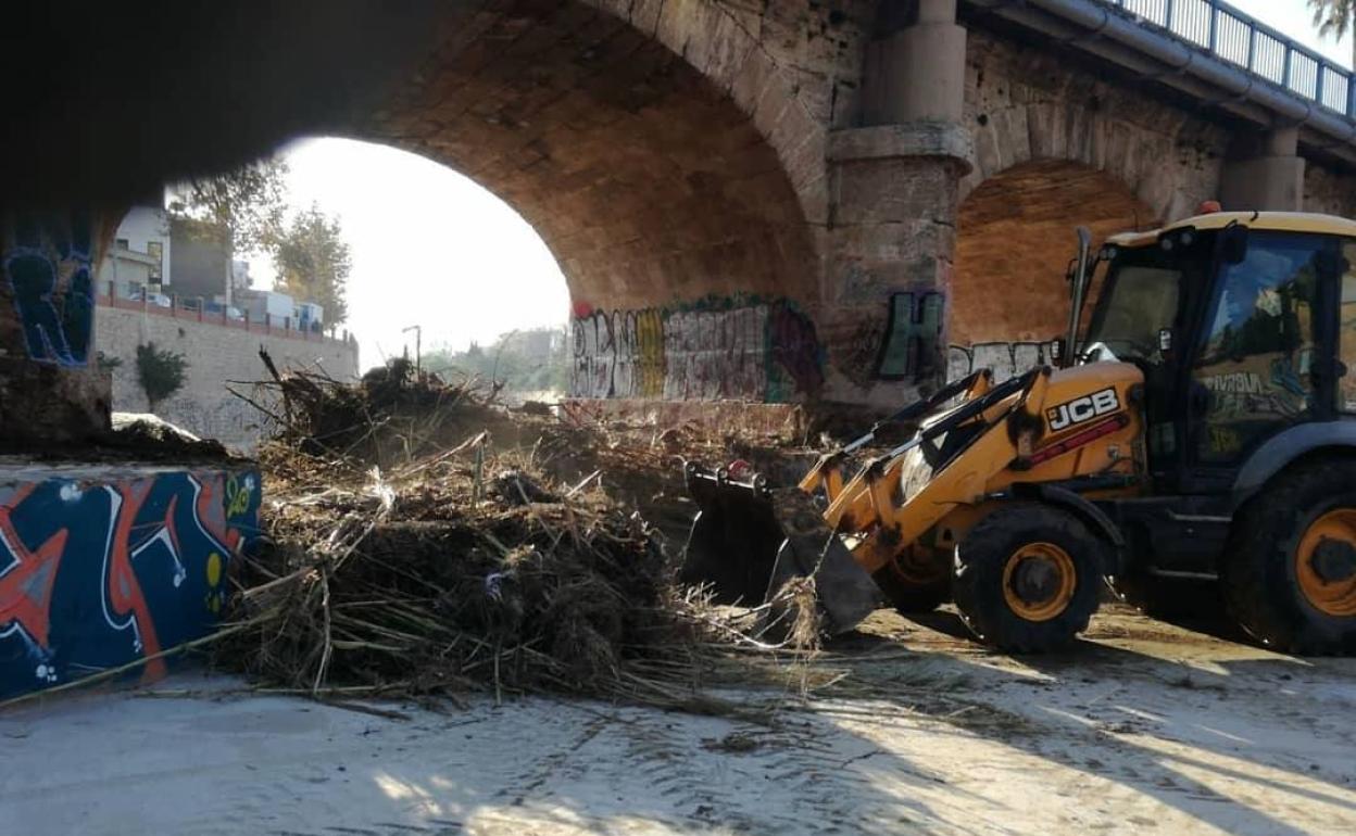 Un tractor recoge los residuos depositados en el barranco, bajo el puente de Massanassa. 