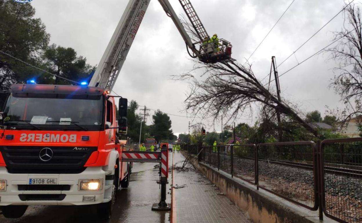 Los bomberos trabajan en la retirada de un árbol de las vías del metro.