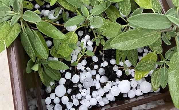 Granizo del tamaño de cerezas en Valencia