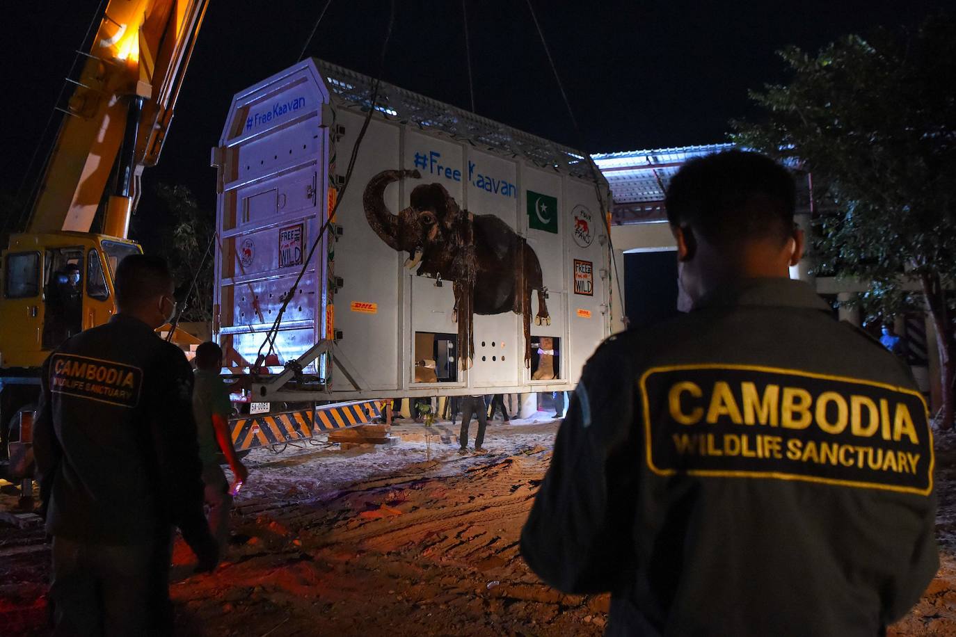 Tras años de maltrato en un zoo de Pakistán, el elefante «más solitario del mundo», llegó a Camboya el lunes, donde fue recibido por la superestrella estadounidense Cher, que lo acompañará a un santuario que alberga a otros paquidermos.