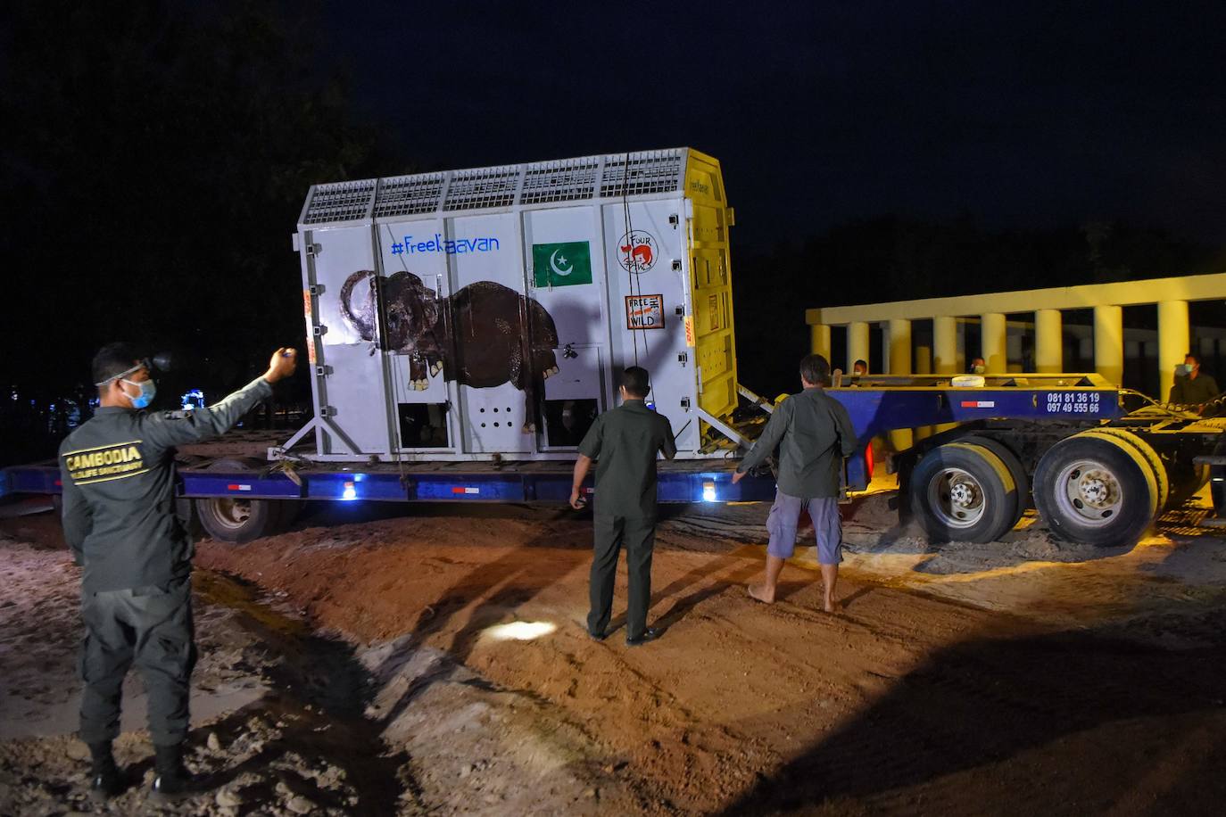 Tras años de maltrato en un zoo de Pakistán, el elefante «más solitario del mundo», llegó a Camboya el lunes, donde fue recibido por la superestrella estadounidense Cher, que lo acompañará a un santuario que alberga a otros paquidermos.