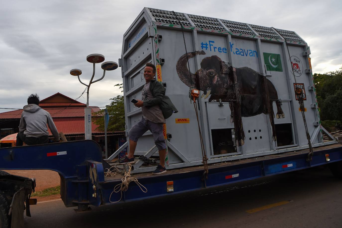 Tras años de maltrato en un zoo de Pakistán, el elefante «más solitario del mundo», llegó a Camboya el lunes, donde fue recibido por la superestrella estadounidense Cher, que lo acompañará a un santuario que alberga a otros paquidermos.