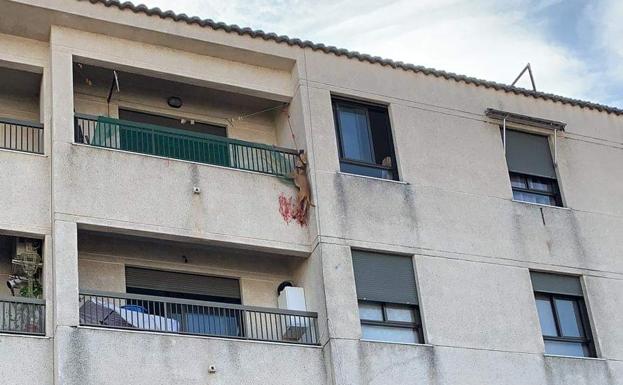 El animal, colgado del techo del balcón. 