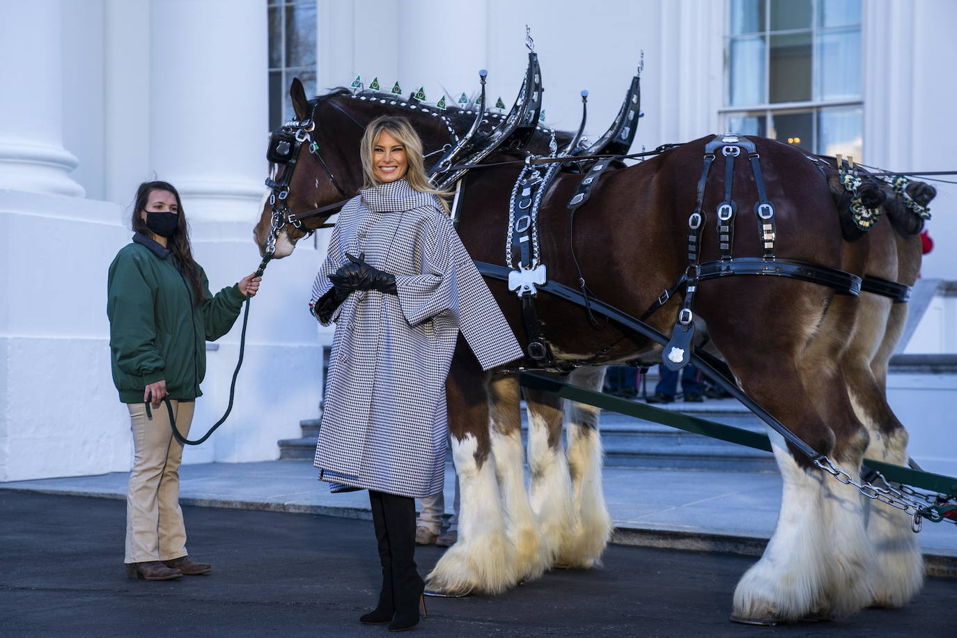 Estas navidades serán las últimas de Melania Trump en la Casa Blanca y no ha querido faltar a la tradición de recibir al abeto más alto que decorará su aún hogar, una costumbre que se lleva haciendo desde 1966. Un carro de caballos ha acercado al abeto agraciado, que mide 5,6 metros, hasta la entrada de la residencia presidencial, que ya ha presentado su decoración navideña. 