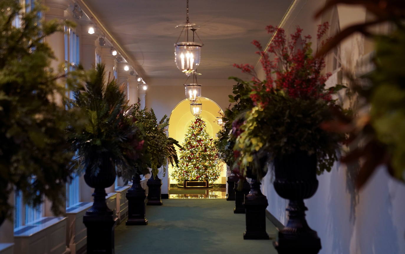 Estas navidades serán las últimas de Melania Trump en la Casa Blanca y no ha querido faltar a la tradición de recibir al abeto más alto que decorará su aún hogar, una costumbre que se lleva haciendo desde 1966. Un carro de caballos ha acercado al abeto agraciado, que mide 5,6 metros, hasta la entrada de la residencia presidencial, que ya ha presentado su decoración navideña. 