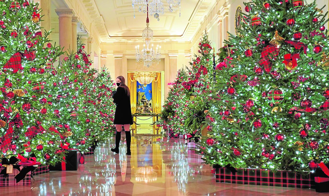 Estas navidades serán las últimas de Melania Trump en la Casa Blanca y no ha querido faltar a la tradición de recibir al abeto más alto que decorará su aún hogar, una costumbre que se lleva haciendo desde 1966. Un carro de caballos ha acercado al abeto agraciado, que mide 5,6 metros, hasta la entrada de la residencia presidencial, que ya ha presentado su decoración navideña. 