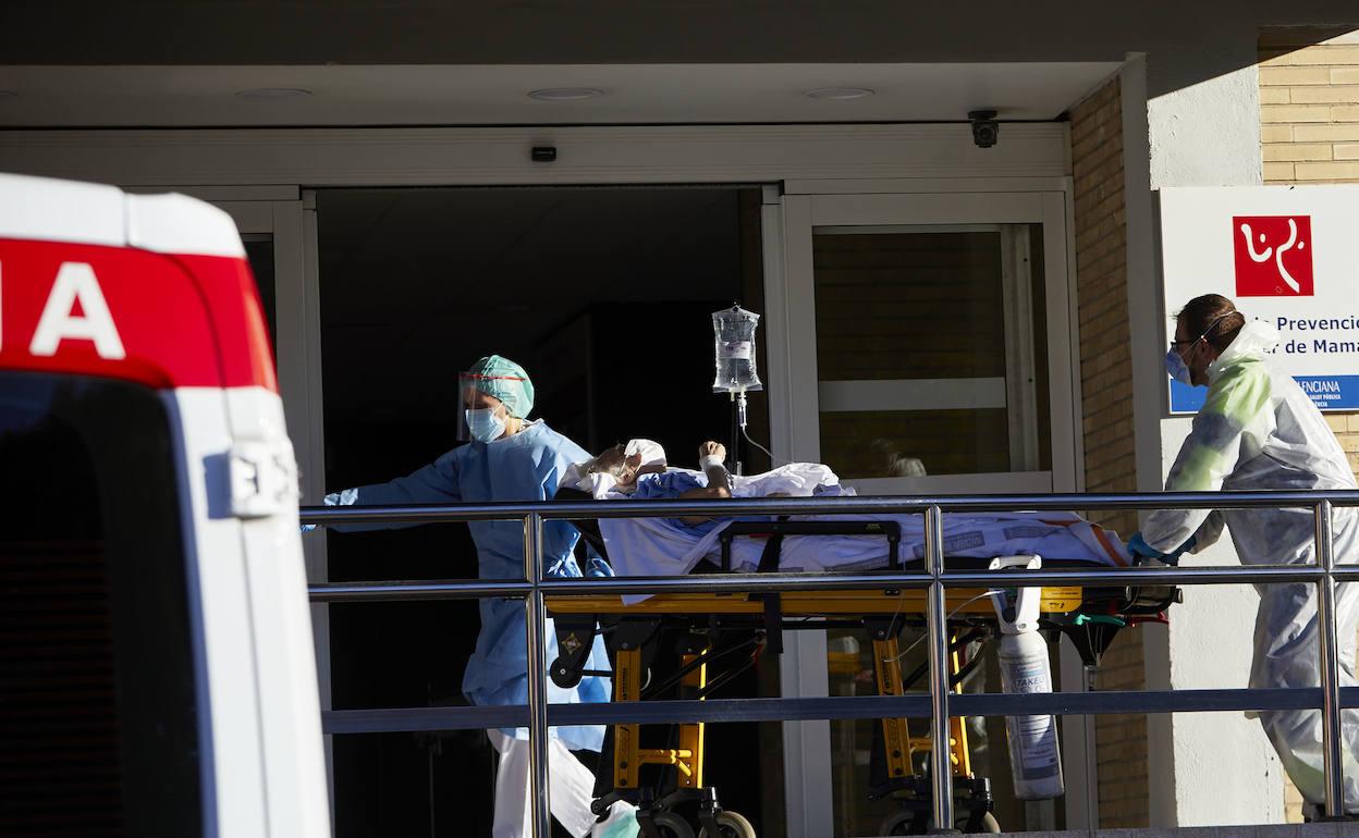 Personal sanitario traslada a un enfermo a la antigua Escuela de Enfermería de la vieja Fe de Campanar, ayer.