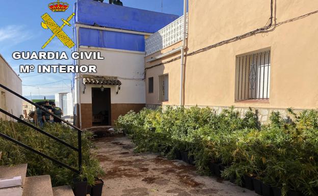 Vivienda donde se encontraba la plantación de marihuana. 