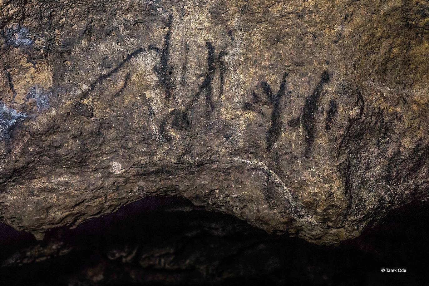 El proyecto 'Prospección arqueológica en cuevas colgadas de la isla de La Palma' ha desvelado un tipo de yacimiento arqueológico desconocido en la arqueología palmera: una cueva pintada en las paredes con carbones. Este descubrimiento supone grandes avances para el conocimiento de la cultura benahoarita, además de abrir nuevas y ambiciosas líneas de investigación sobre las pinturas rupestres