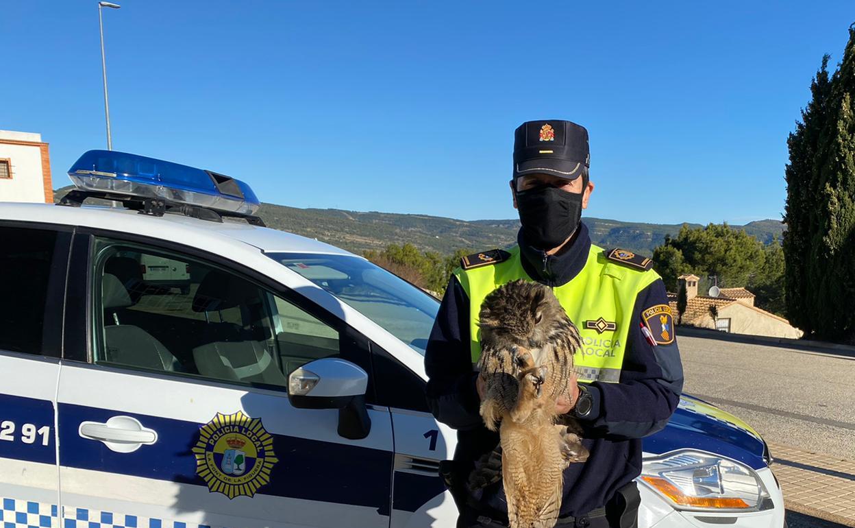 El agente de la Policía Local con el búho rescatado. 