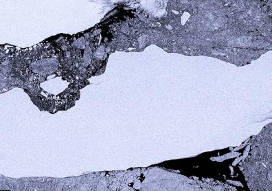 Imagen secundaria 1 - Un enorme iceberg amenaza con chocar contra el mayor refugio de pingüinos rey del planeta