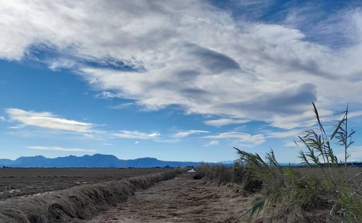 Campos cubiertos por paja del arroz. 