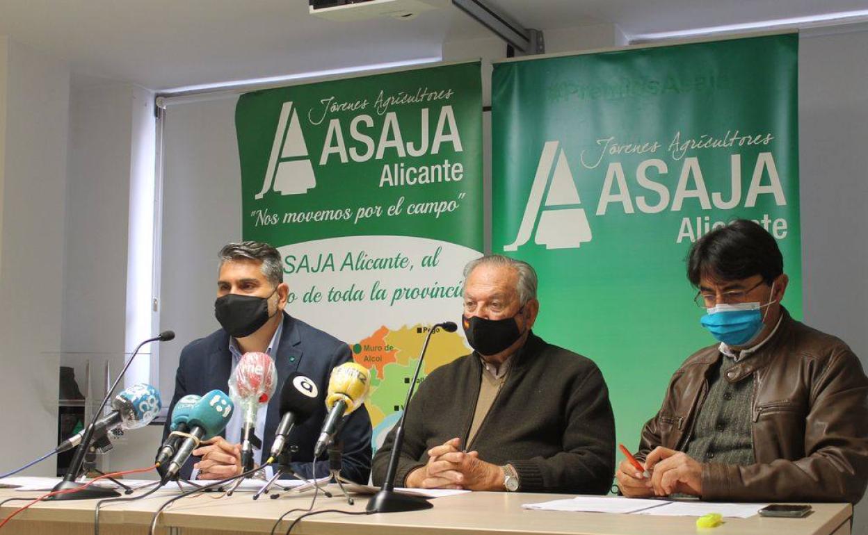 Rueda de prensa de la directiva de ASAJA Alicante para hacer balance del año agrario. 