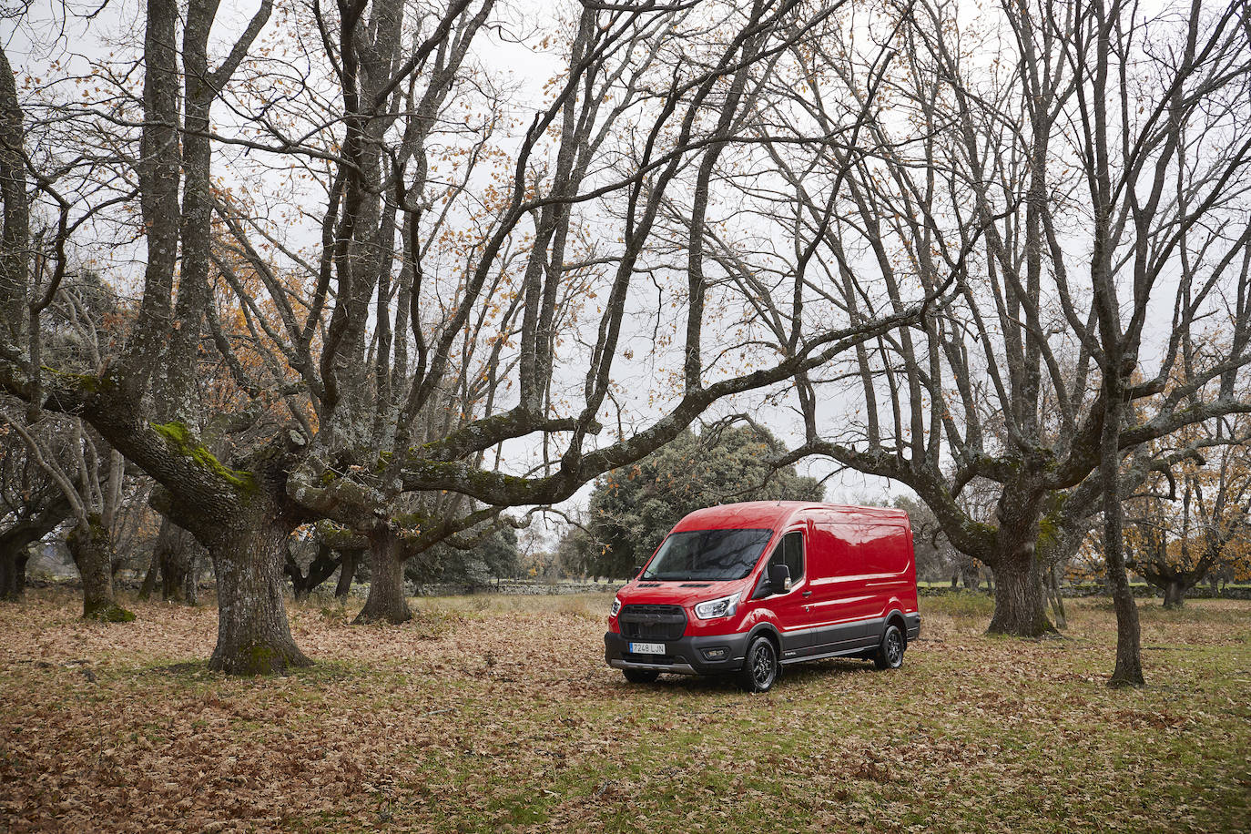 Fotos: Fotogalería: Ford Transit Trail y Tourneo Active