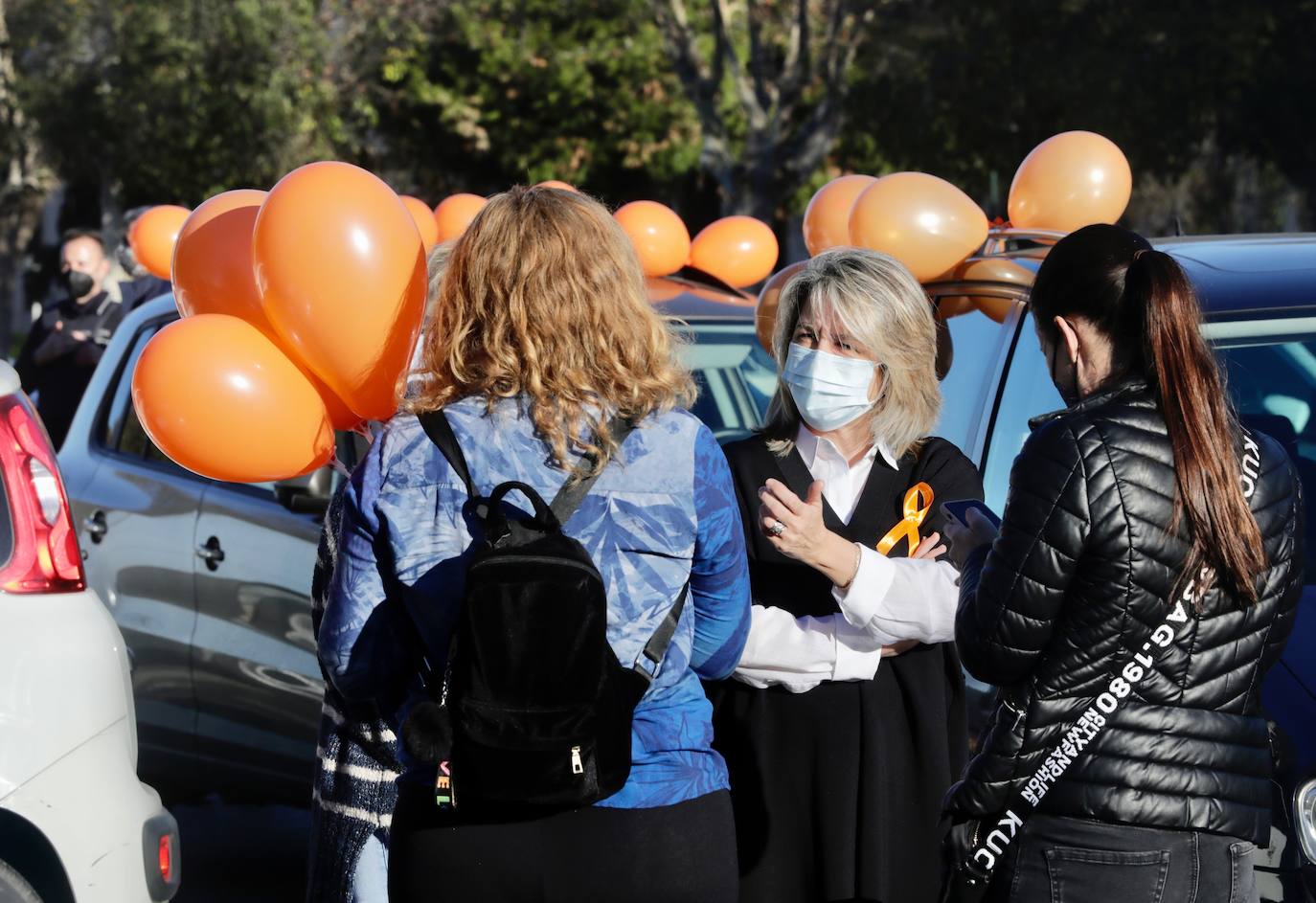 La manifestación en coche contra la Lomloe recorre algunas de las principales vías de Valencia. La protesta, impulsada a nivel nacional por la plataforma 'Concertados', reúne a los detractores de la Ley Celaá en un recorrido iniciado en el paseo de la Alameda y que atraviesa las Grandes Vías, el paseo de la Pechina, las calles Blanquerías, Conde de Trenor, Pintor López y Paseo Ciudadela y el puente de las Flores