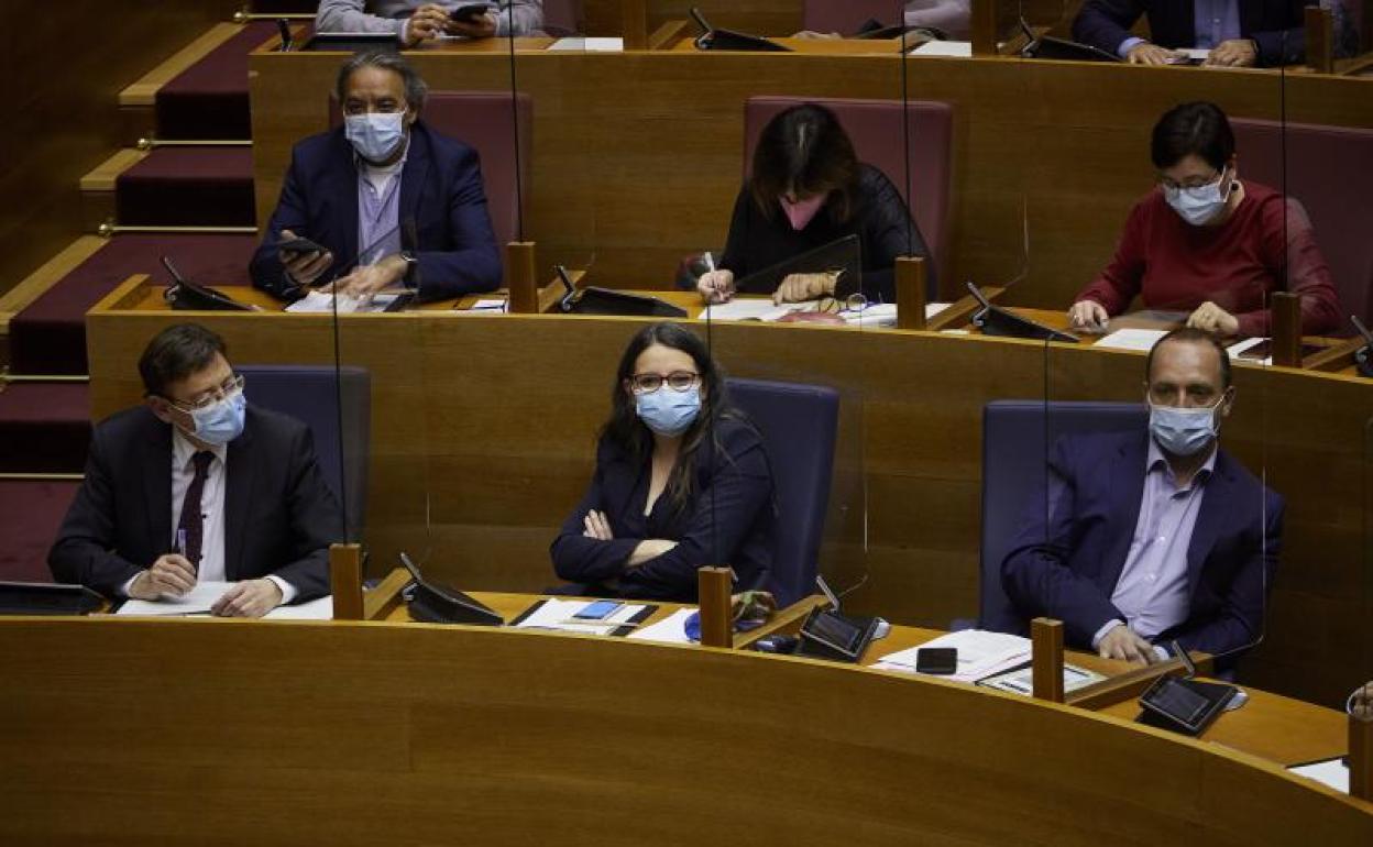 La votación final del presupuesto agrava las rencillas internas en el Botánico