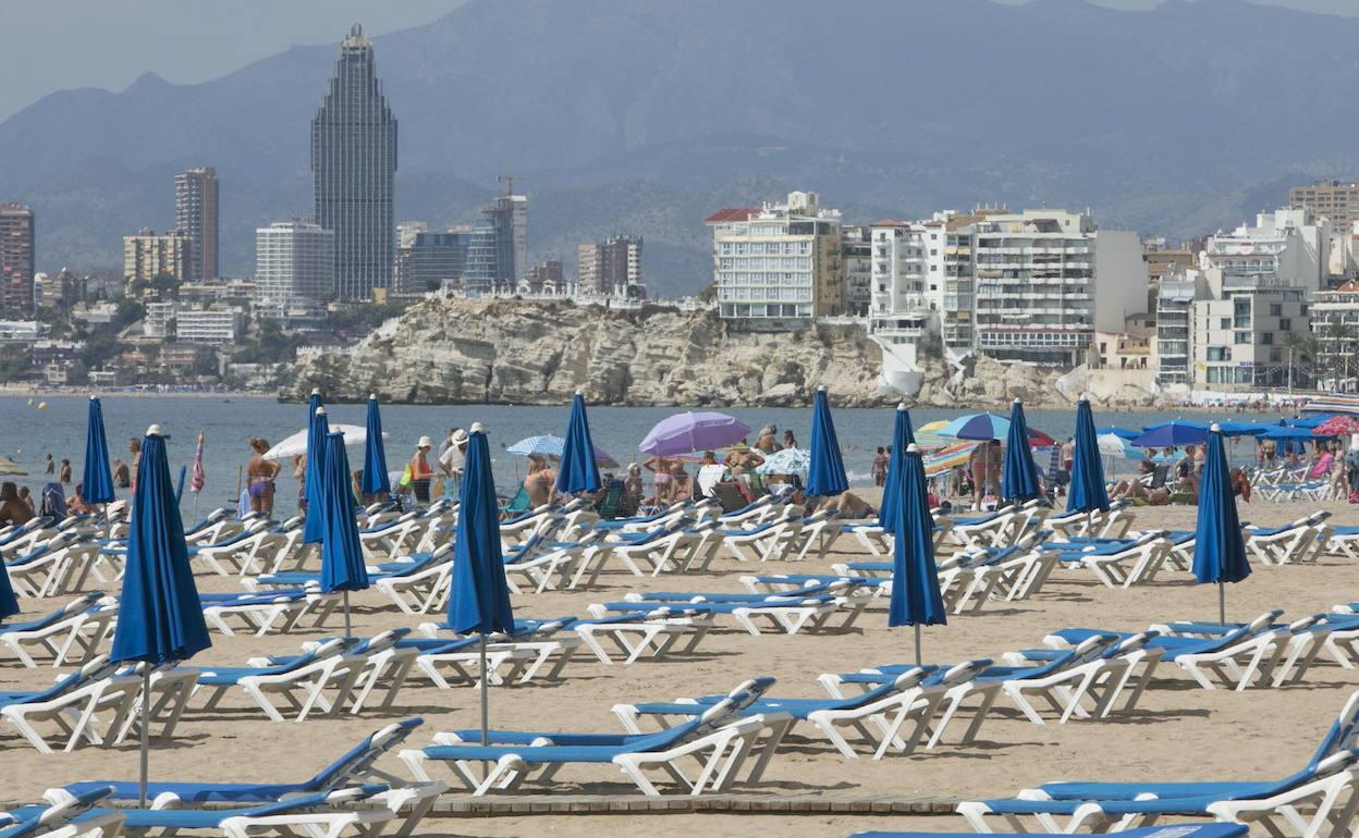 Hamacas en la playa de Benidorm el pasado verano. 