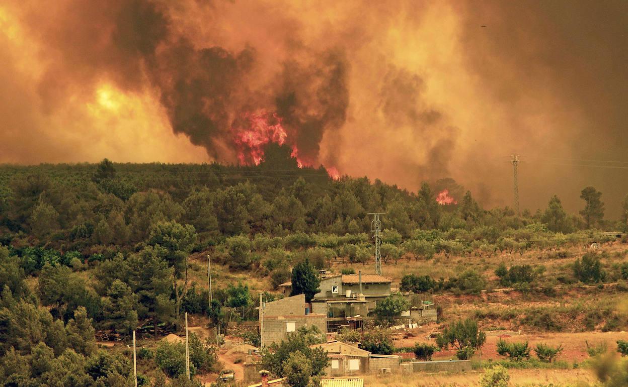 Incendio de Cortes de Pallás, el más grave del siglo en España. 