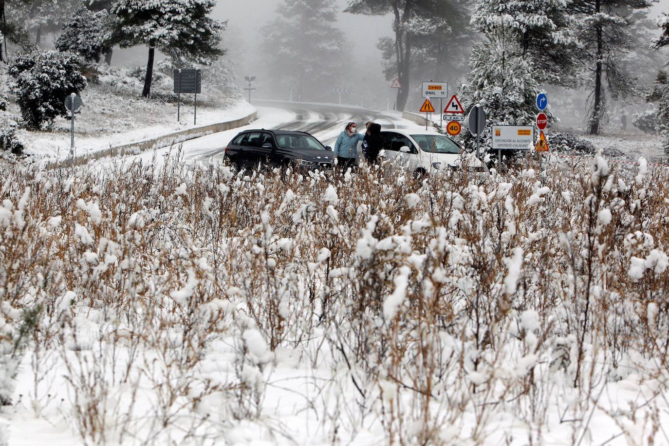 Banyeres de Mariola: El primer temporal del invierno entra en la Comunitat cubriendo de blanco buena parte del interior de las provincias de Castellón, Valencia y Alicante. Aemet ha aumentado el aviso naranja previsto ya que los acumulados podrían ser considerables, de hasta quince centímetros. La borrasca no abandonará el territorio regional hasta el próximo sábado.