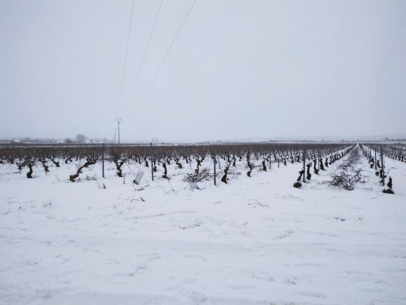 Camporrobles: El primer temporal del invierno entra en la Comunitat cubriendo de blanco buena parte del interior de las provincias de Castellón, Valencia y Alicante. Aemet ha aumentado el aviso naranja previsto ya que los acumulados podrían ser considerables, de hasta quince centímetros. La borrasca no abandonará el territorio regional hasta el próximo sábado.