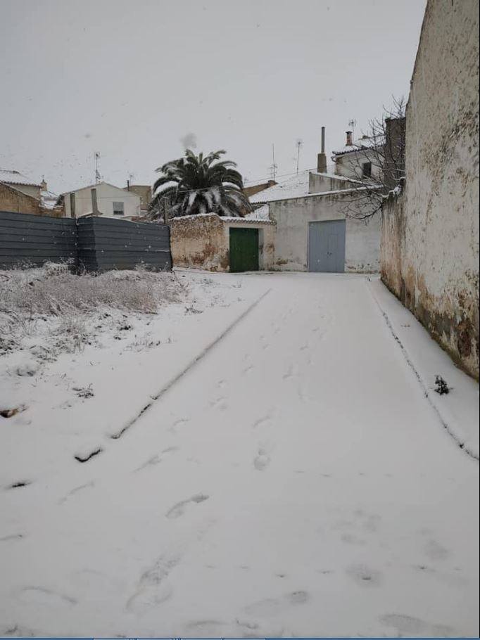 Camporrobles: El primer temporal del invierno entra en la Comunitat cubriendo de blanco buena parte del interior de las provincias de Castellón, Valencia y Alicante. Aemet ha aumentado el aviso naranja previsto ya que los acumulados podrían ser considerables, de hasta quince centímetros. La borrasca no abandonará el territorio regional hasta el próximo sábado.